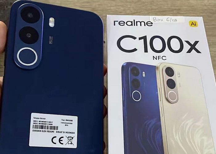 Testimoni Pemakaian Realme C100x Setelah Satu Bulan, Kalau Prioritas Kamu Kamera Bukan Ini Handphonenya! 