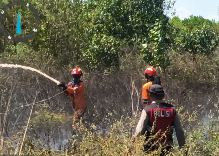 Kebakaran Lahan di Desa Permata Baru Ogan Ilir, Tim Gabungan Sigap Padamkan Api