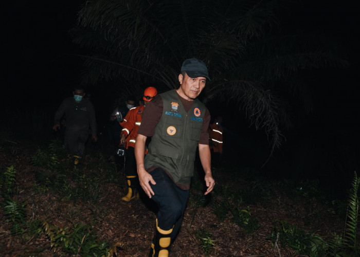 Asap Pekat Kembali Menerjang Kota Palembang, Imbas Kebakaran Lahan Diduga Milik Perusahaan Sawit di Banyuasin