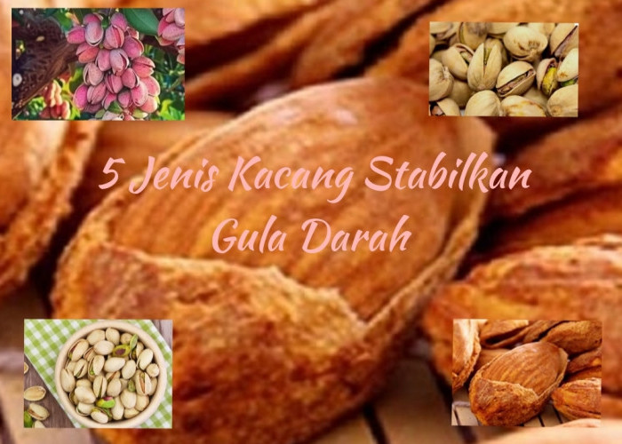 WAJIB TAHU, Ini 5 Jenis Kacang Bisa Menstabilkan Gula Darah, Rahasia Mengontrol Diabetes Tanpa Obat Mahal