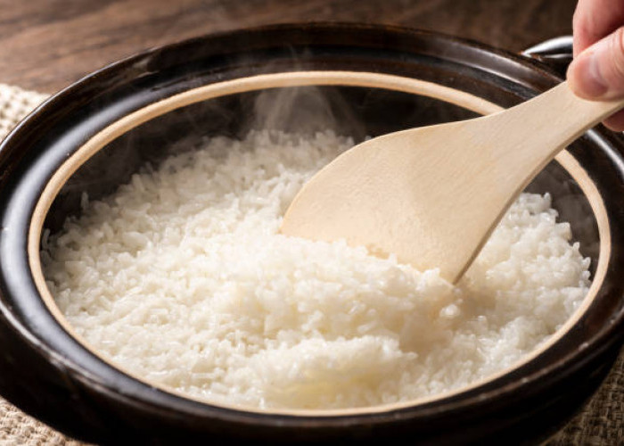 Yuk Simak! 6 Tips Masak Nasi di Rumah Agar Tidak Cepat Basi, Nomor 4 Jangan Diremehkan