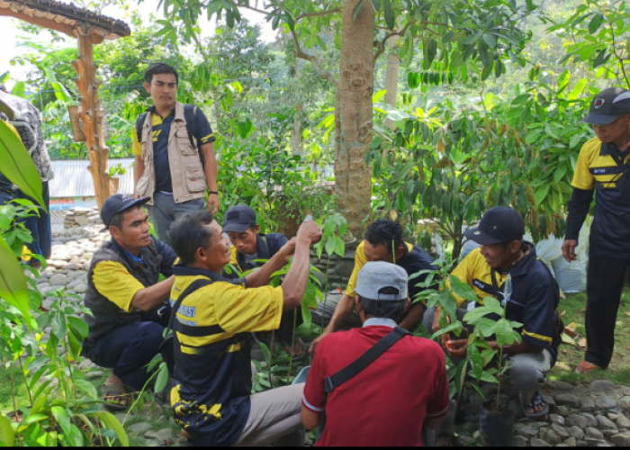 Dukung Pariwisata Borobudur, Bukit Asam (PTBA) Rehabilitasi DAS di Bukit Menoreh
