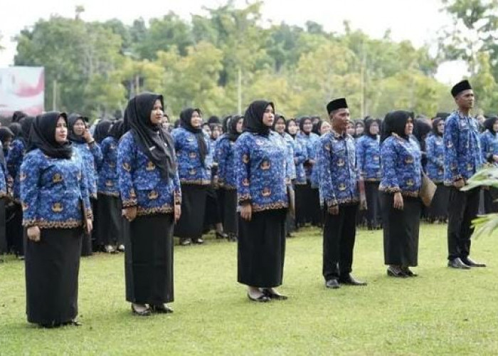 Ini Penyebab PPPK Paruh Waktu di Banyuasin Belum Terima Gaji