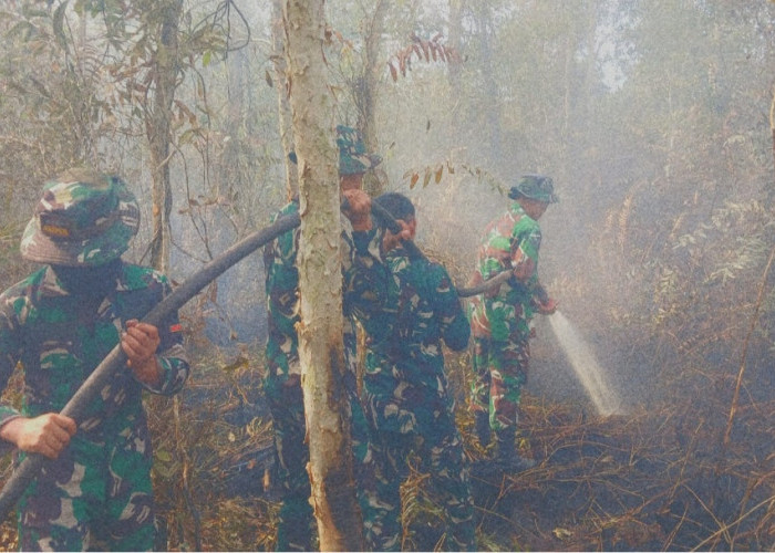 Satgas Karhutla Koramil Pampangan Sigap Padamkan Kebakaran Lahan di Desa Sungai Bungin OKI