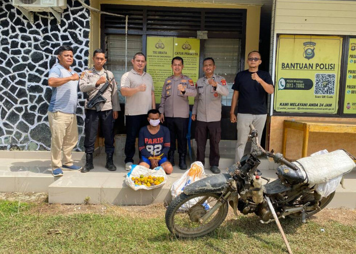 Curi 700 Kg Jeruk untuk Modal Judi Online, Pria di Rantau Sialang Ogan Ilir Diamankan Polsek Muara Kuang