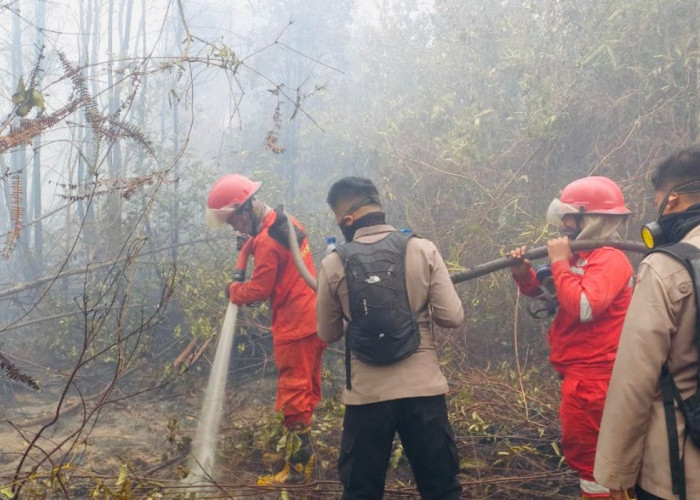 Sudah 3 Hari Petugas Gabungan Padamkan Api Karhutla Seluas 10 Hektare di OKI, Polda Sumsel Pertebal Personel