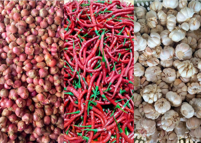 Harga 11 Bahan Kebutuhan Pokok di Sumsel Terpantau Stabil, Beras Premium Rp 15.000 Per Kg