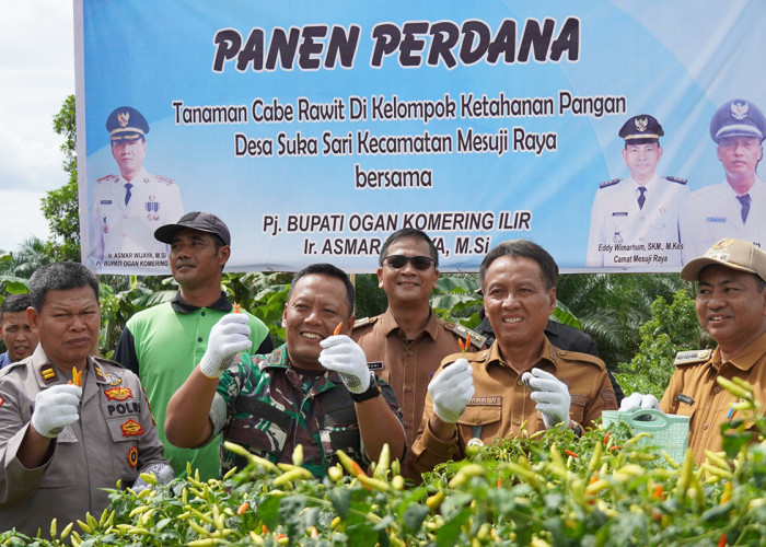  Panen Raya Cabe di OKI Sukses Kendalikan Inflasi Daerah