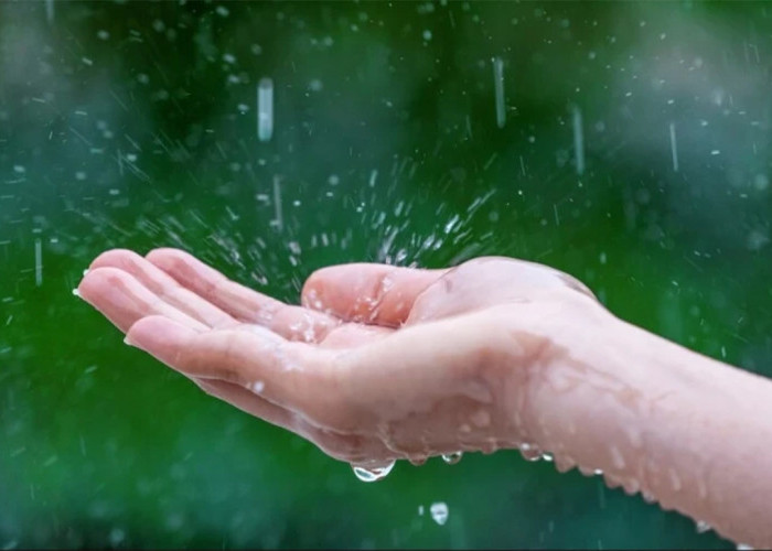 5 Manfaat Air Hujan Bagi Kesehatan Tubuh yang Jarang Orang Ketahui, Nomor 2 dan 4 Bikin Syok Pembaca