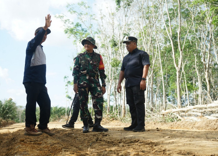 Wakil Bupati OKI dan Dandim Tinjau Pengerjaan Pembukaan Akses Jalan di Desa Pematang Sukatani 