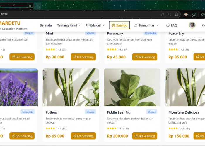 SMARDETU Karya Tim Okee Gasss Universitas Bina Darma Masuk Top 10 INBIZ 2025, Inovasi Digital untuk UMKM Tanam