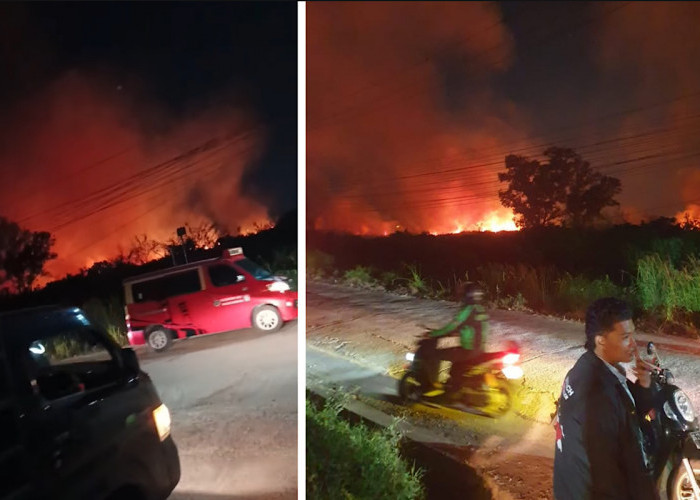 Lahan Kosong di Samping Perumahan Palm Hill Talang Kelapa Terbakar