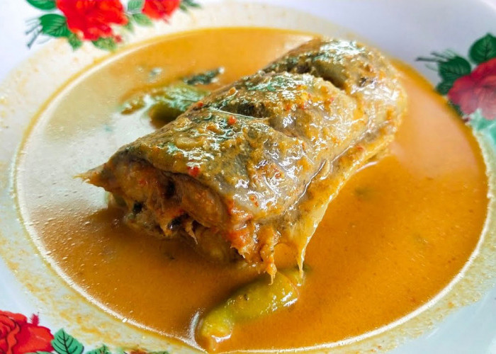 Ini Resep Gulai Sidat, Soal Rasa Tiada Duanya, Kandungan Gizi Kalahkan Salmon, Meningkatkan Kecerdasan Otak