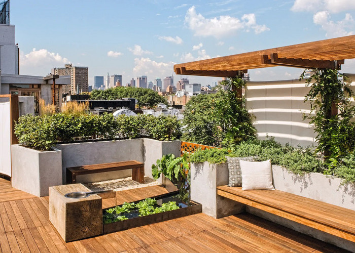 9 Tanaman Hias yang Cocok untuk Rooftop, Bikin Rumahmu Makin Asri dan Nyaman