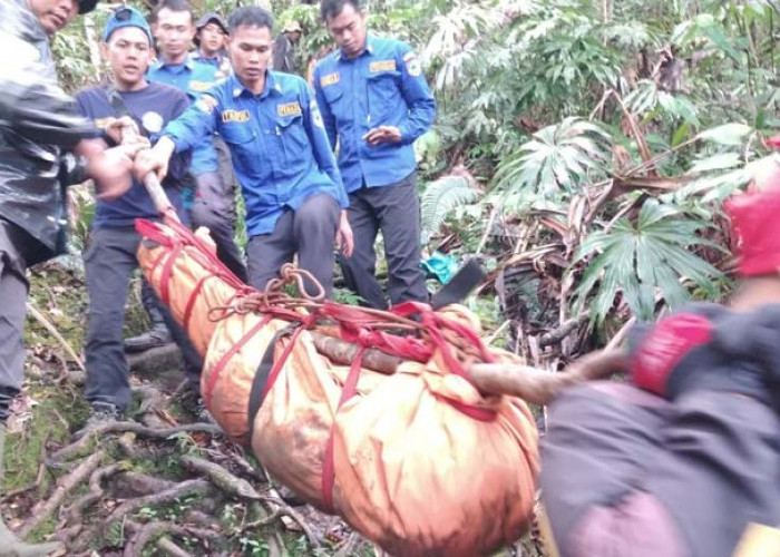 Evakuasi Mayat Pria yang Ditemukan di Bibir Puncak Gunung Api Dempo Pagaralam Terkendala Hujan