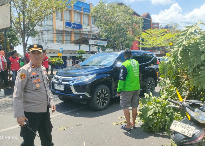 Niat Berteduh Berujung Maut: Driver Ojol Palembang Tewas Tertimpa Pohon, Uang Hasil Narik Jadi Saksi Bisu
