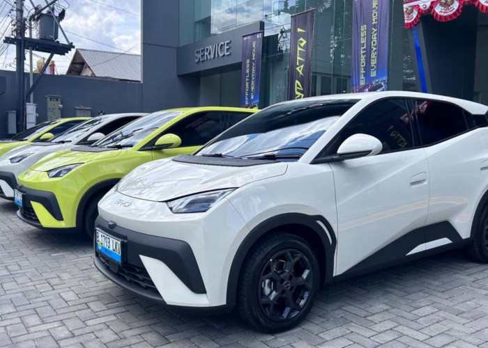 Cara Pakai Fitur V2L Mobil Listrik untuk Kendaraan Darurat di Jalan: Masak Air Hingga Cas HP Saat Mudik