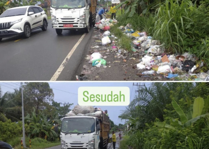 Dinas Lingkungan Hidup Ogan Ilir, Mulai Bersihkan Sampah yang Menumpuk di Kecamatan Tanjung Raja