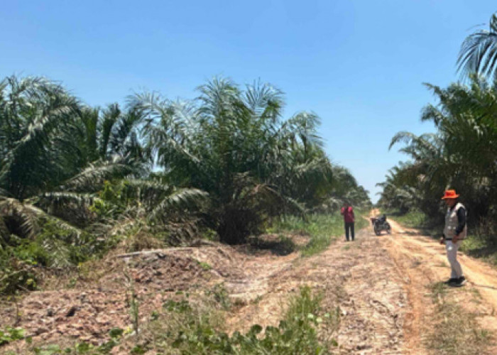 BPBD OKI Turunkan Tim TRC, Jalan Rusak di Mesuji Raya Akibat Hujan 