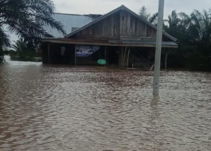Banjir Masih Melanda Muratara dan Mura, Debit Air Sungai Musi Dalam Lagi