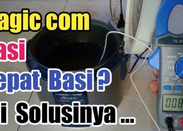 Nasi Cepat Basi di Rice Cooker? Ini Penyebab Utama dan Cara Mengatasinya