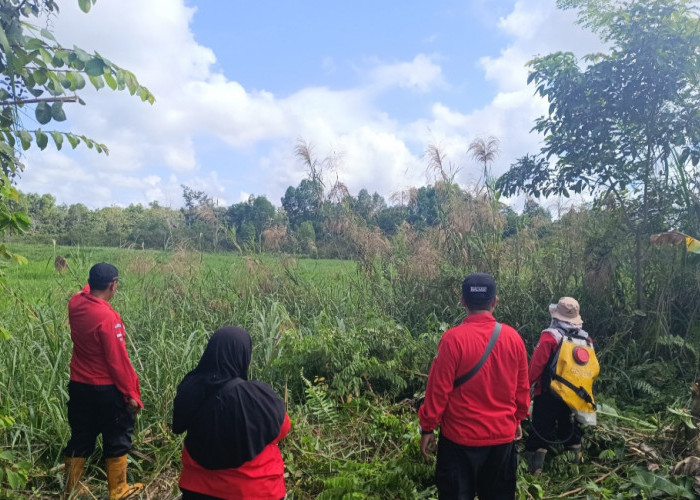 Ketinggian Air Lahan Gambut Masih Normal, Namun Kerawanan Karhutla Tetap Tinggi