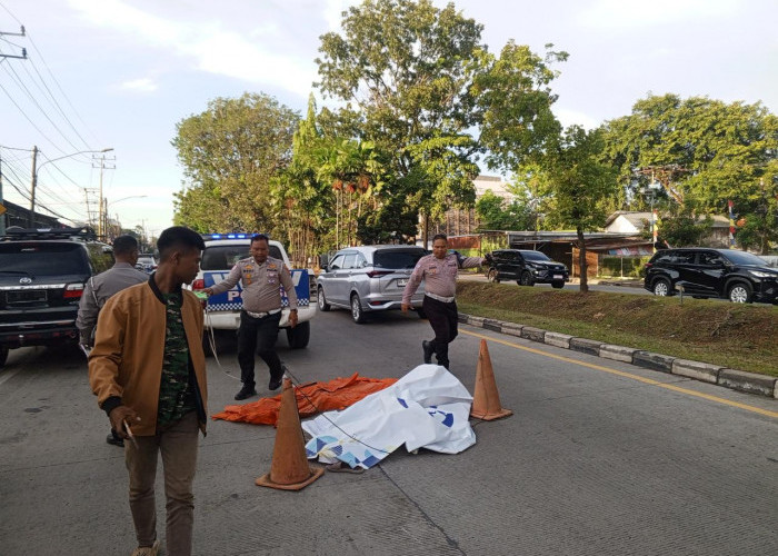 Diserempet Truk IRT di Palembang Diduga Jadi Korban Tabrak Lari, Meregang Nyawa di Tempat