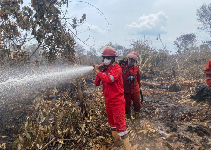 Mopping Up Sisa Bara Api di Lokasi Karhutla Tanjung Sari II OKI Selesai