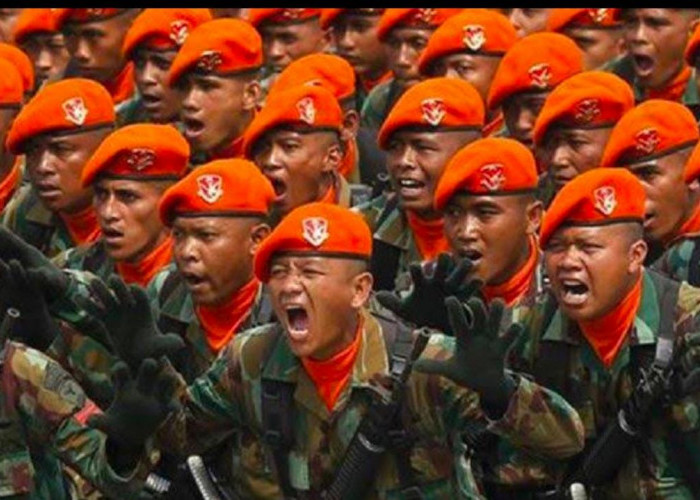 Hebat Banget! Berikut Daftar Pasukan Elite TNI Ini Siap Libas KKB Papua, Kemampuan Tempur Diatas Rata-Rata