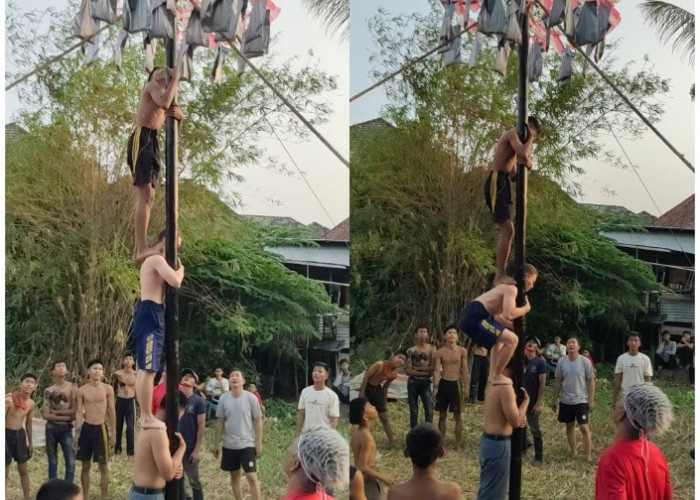 Serunya Panjat Pinang RT 25, “Bule” Rela Bergelut dengan Oli Demi Rebut Hadiah