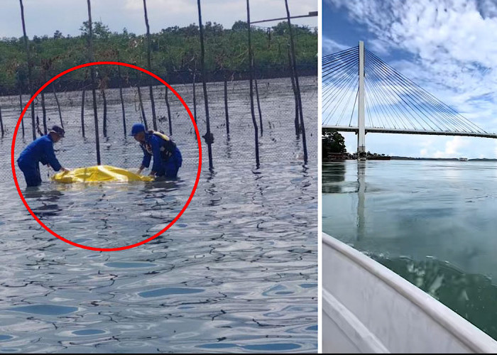 Setelah 4 Hari Pria Dijuluk Fat Cat Batam Ditemukan, Malamnya Ada Lagi Pria Terjun di Jembatan Barelang 