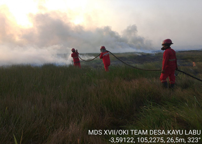 2 Hari Lahan Gambut di Desa Kayu Labu OKI Seluas 5 Hektare Terbakar