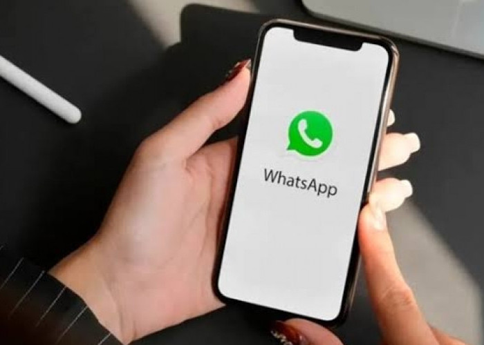 Tutorial Mengganti Background saat Video Call di WhatsApp menggunakan iPhone