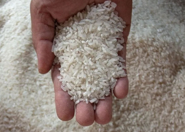 Batas Waktu Bayar Zakat Fitrah 2026 Menurut Keputusan MUI dan Baznas