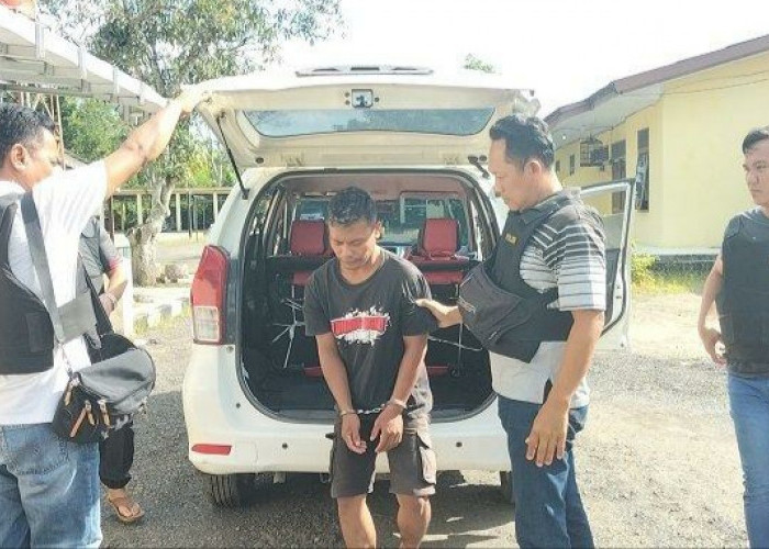 Pelaku Pencurian Sapi di Lempuing OKI Ditangkap Polisi, Begini Modusnya