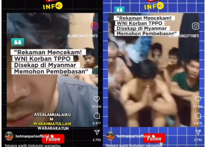 Akun Hotman Paris Unggah Video Penyekapan WNI di Myanmar, Minta Pemerintah Evakuasi Segera