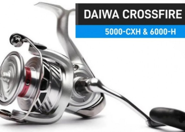 5 Rekomendasi Reel Pancing Terbaik 2026 Primadona Mancing Mania di Bawah Rp500 Ribu, Tangguh untuk Air Asin