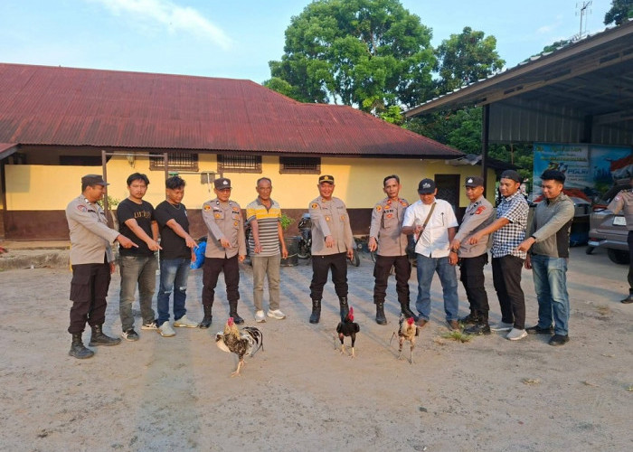 Tindaklanjuti Laporan Warga, Polsek Tanjung Raja Datangi Lokasi Judi Sabung Ayam di Kerinjing Ogan Ilir