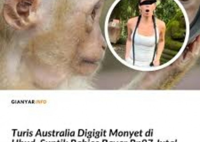 Viral Turis Asal Australia Tekor Rp97 Juta Usai Digigit Monyet Saat Berwisata ke Bali