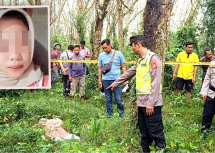  Mayat Siswi SMK Tertelungkup di Semak Kebun Karet Belitang OKU Timur, Diduga Menjadi Korban Begal
