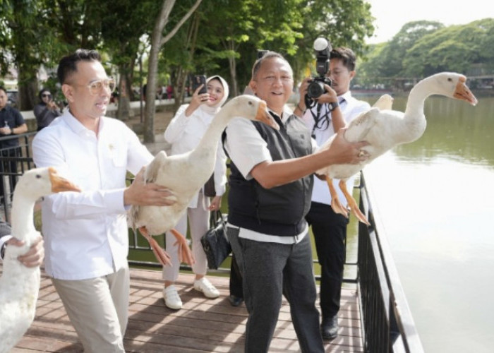 Jaga Keseimbangan Alam, Kajati Sumsel dan Raffi Ahmad Lepas Liar Angsa & Ikan di Kambang Iwak