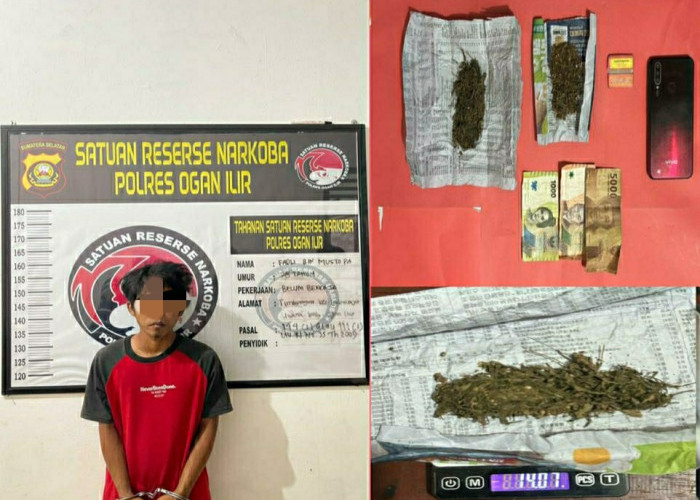 Pengedar Ganja Ditangkap Sat Res Narkoba Polres Ogan Ilir, Polisi Temukan 14,07 Gram dari Pelaku