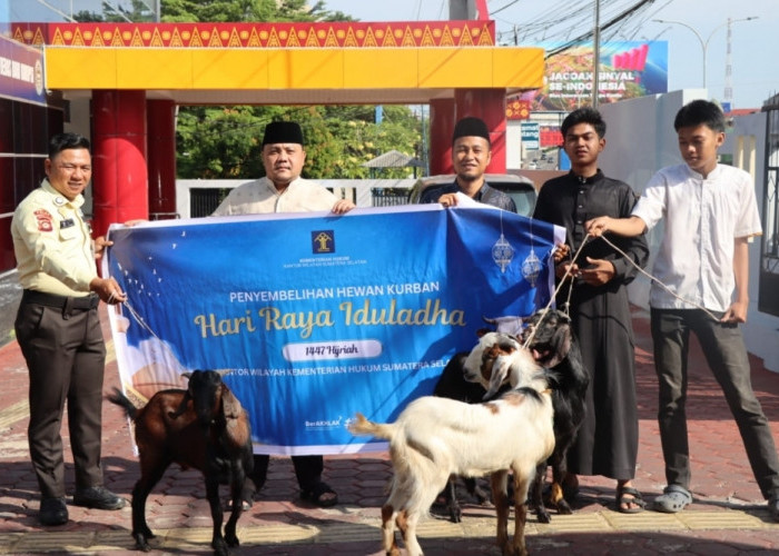 Iduladha 1447 H, Kanwil Kemenkum Sumsel Salurkan Hewan Kurban untuk Masyarakat