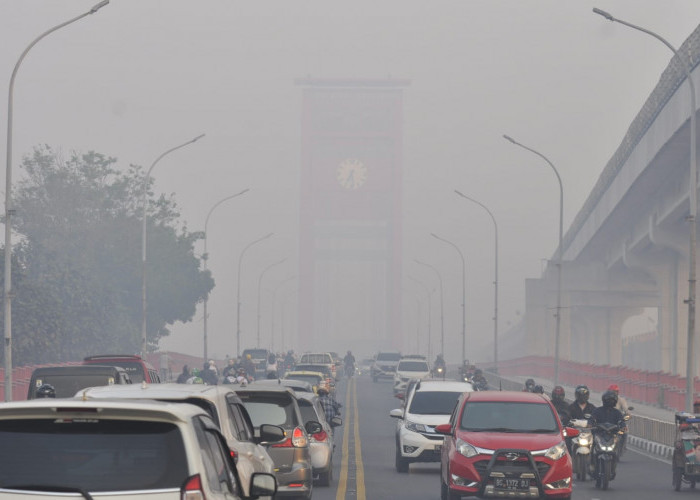 Melawan Kabut Asap di Kota Palembang, Berikut 8 Langkah Mencegah Dampak Polusi Udara pada Kesehatan