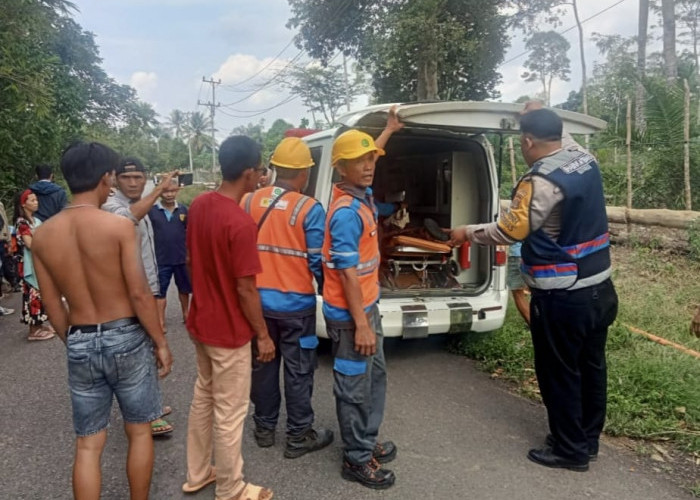 Sedang Lakukan Perbaikan, Petugas PLN Tersengat Aliran Listrik di Musi Rawas, Begini Kondisi Korban 