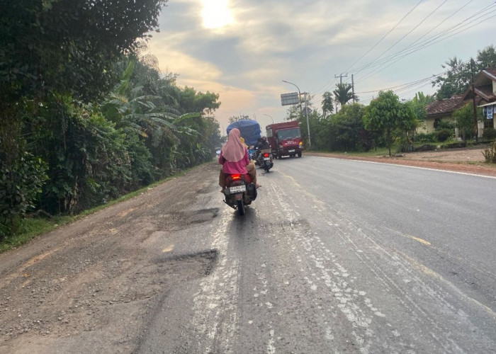 Hancur Dimakan Waktu, Jalan Lintas Timur Timur Palembang - Betung Menjelma Jadi 'Neraka' Bagi Pengendara