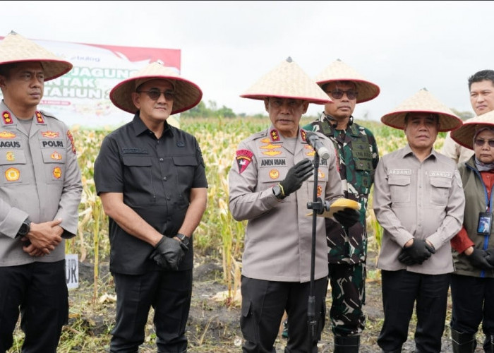Kapolda Sumsel Irjen Pol Andi Rian R Djajadi Salurkan Bansos Saat Panen Raya Jagung  di Ogan Ilir