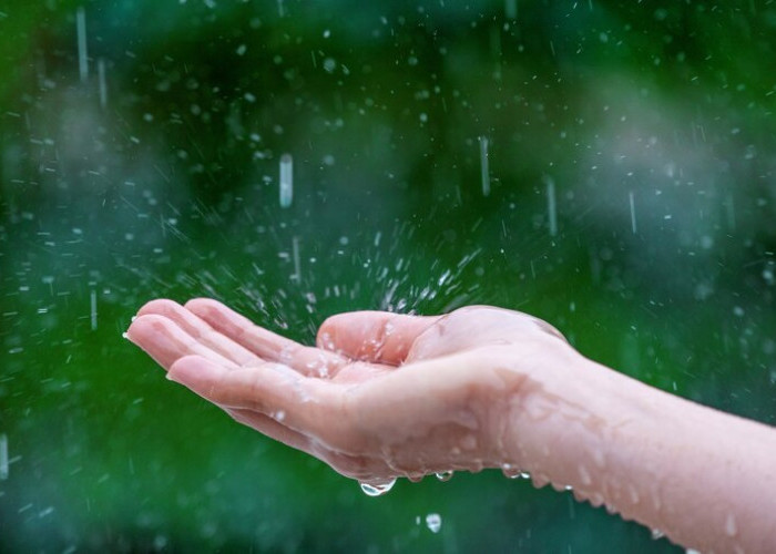 Intip 5 Tips Ini Agar Tidak Mudah Sakit dan Tetap Sehat Ketika Musim Hujan