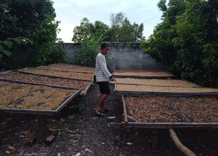 Usaha Kerupuk Kulit di Kayuagung Kirim hingga ke Jambi dan Padang
