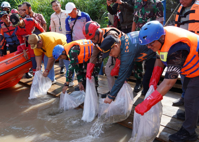 Pemkab Muara Enim Lakukan Aksi Nyata Pemulihan Ekosistem dengan Tanam Pohon dan Tebar Benih Ikan di Sungai Eni